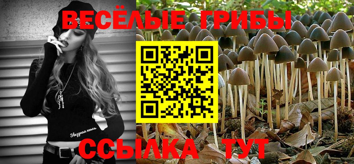 Галлюциногенные грибы Cubensis  купить наркотик  Псилоцибиновые грибы Cubensis  Долгопрудный  Вход с VPN 