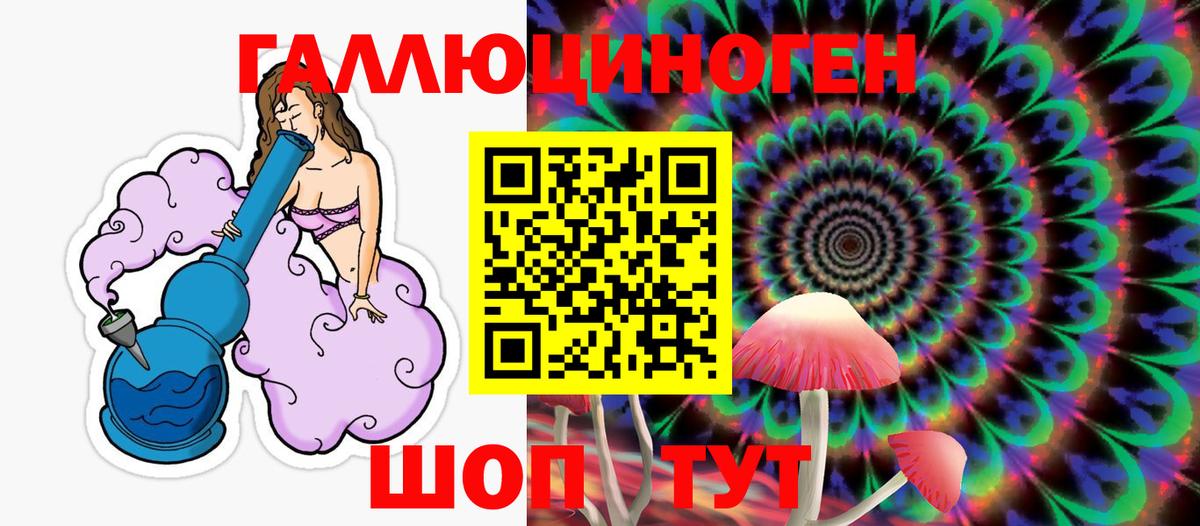 Псилоцибиновые грибы мицелий Долгопрудный